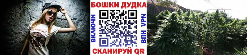 Купить где  Мирный  Канабис планчик 